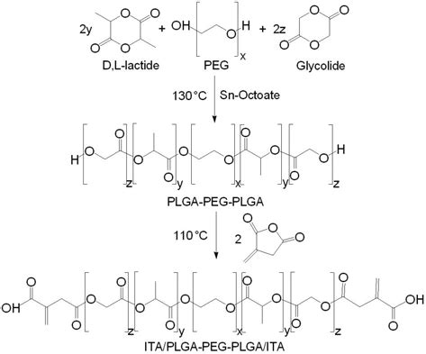 Scheme of PLGA-PEG-PLGA and ITA/PLGA- PEG-PLGA/ITA synthesis | Download ...