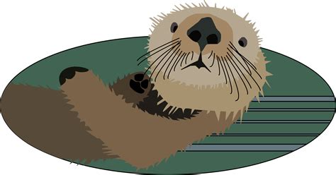 Sea Otter Cartoon Images : Cartoon Otter Cute Sea Vexels Set Ai | Bodegawasuon