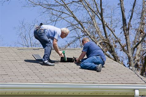 Maintaining Your Roof by Removing Tree Debris