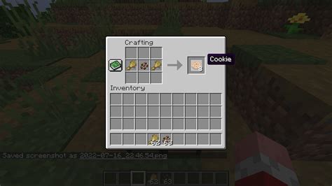 How to make a cookie in Minecraft 1.19 update