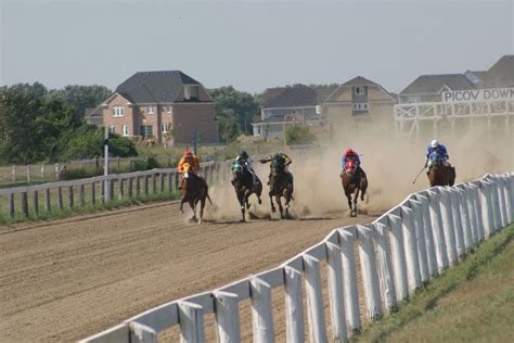 Quarter Horse track in Ajax Ontario,Canada | Quarter horse, Horses ...