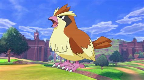 Pokemon trainer creates animatronic Pidgey for future cosplay - Dexerto