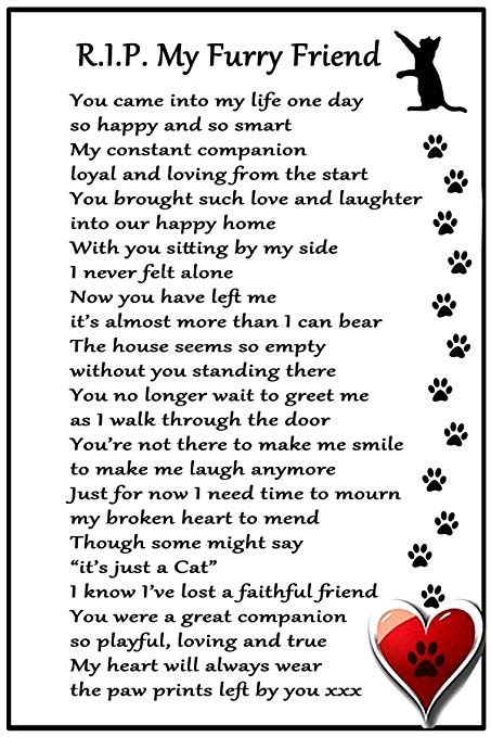 pretty cat memorial poems - Google Search Pet Loss Grief, Loss Of Dog ...