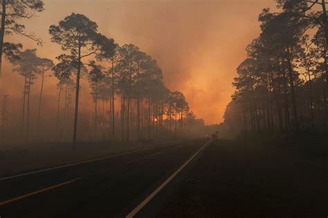 Fire in Georgia wildlife refuge could take months to fight: U.S. officials