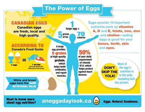 A large egg contains 6g of protein and 14 important nutrients. Learn more about the power of ...