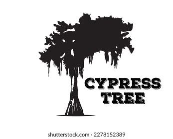 Cypress Tree Vector File Cypress Tree Stock Vector (Royalty Free ...