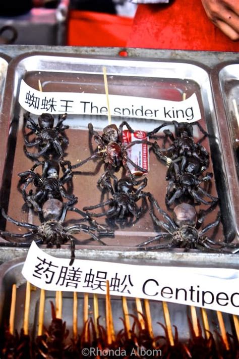 OMG - Beijing Street Food from the Weird to the Bizarre