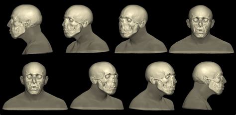 Craniofacial Reconstruction by Alexandra Gutowski – Artists' Blogs ...