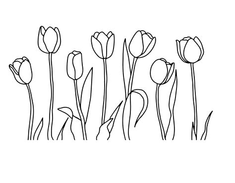 Tulips Outline Spring SVG SVG Download File Plotter File | Etsy