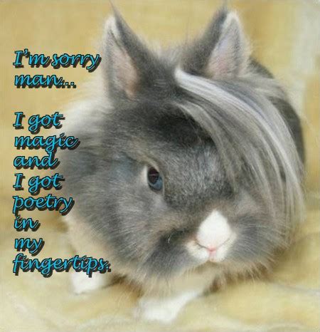 Cute Bunny Quotes. QuotesGram