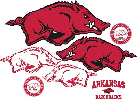 Razorback Wallpaper Free - WallpaperSafari