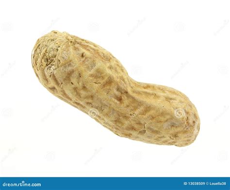 Single Peanut Royalty Free Stock Images - Image: 13038509