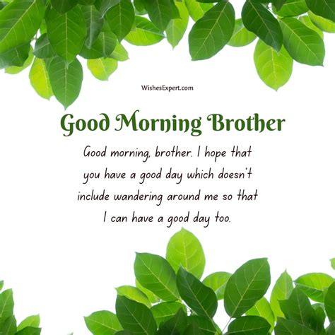 25 Lovely Good Morning Wishes For Brother