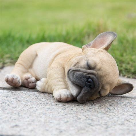 Sleeping French Bulldog Puppy Statue | Bulldog puppies, Bulldog, French ...