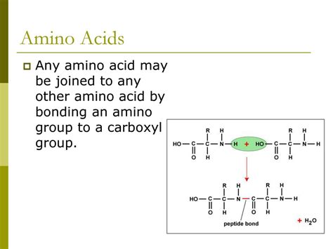 Organic Compounds. - ppt download