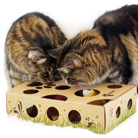 Cat Amazing – Best Cat Toy Ever! Interactive Treat Maze & Puzzle Feeder for Cats- Buy Online in ...