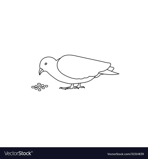 Outline pigeon dove bird eating icon isolated Vector Image