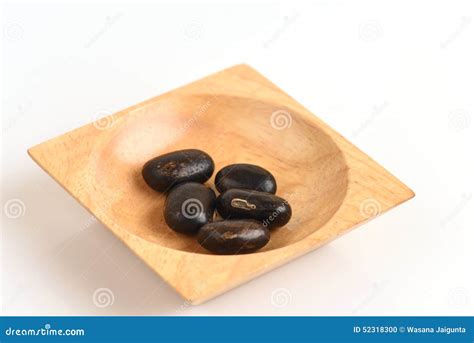 Mucuna pruriens DC., Seeds stock photo. Image of medicinal - 52318300