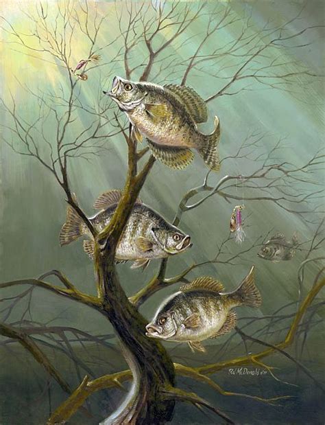 R.J.McDonald Crappie Haven Fishing Art Print | Bass fishing pictures, Fishing pictures, Fish artwork