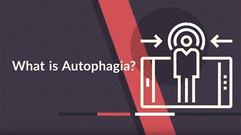 What is Autophagia? (Facts, Cases & Meaning) - YouTube