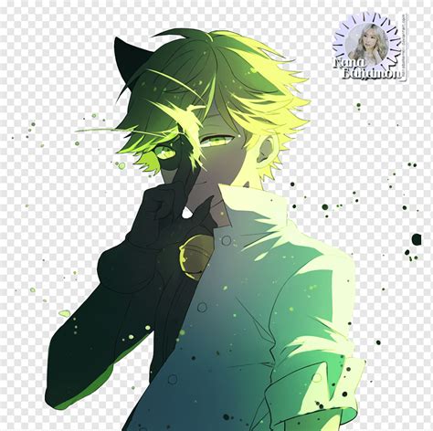 Adrien Agreste Cat Online chat Fan art, Cat, animals, black Hair, computer Wallpaper png | PNGWing