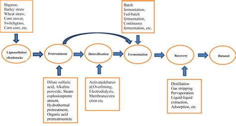 The Promising Fuel-Biobutanol | IntechOpen