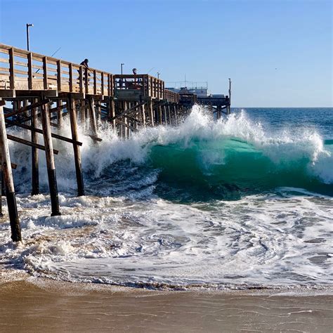 Newport Beach Balboa Pier Fishing Report - All About Fishing