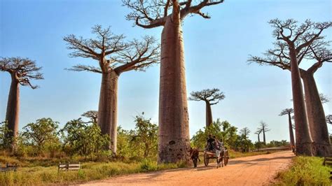 25 African natural wonders for your bucket list | Kadealo Travel