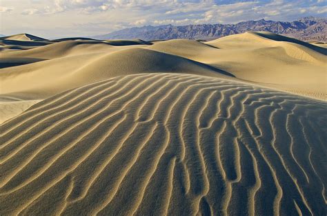 Mesquite Flat Sand Dunes Photograph by Dean Pennala