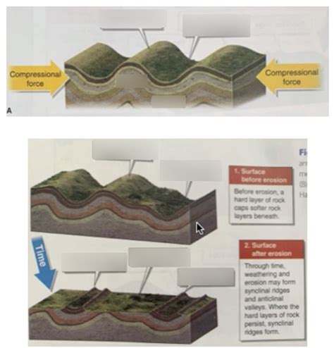 Anticlinal vs Synclinal Diagram Diagram | Quizlet