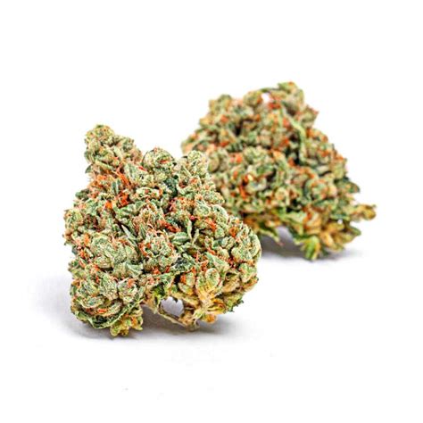 Fire OG Weed Strain Information — 2one2 Dispensary