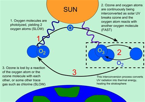 Ozone layer - Alchetron, The Free Social Encyclopedia