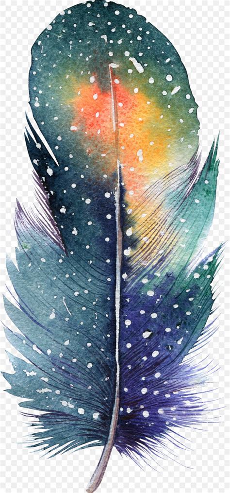 Feather Watercolor Painting Drawing Illustration, PNG, 1300x2786px, Feather, Art, Bohochic ...