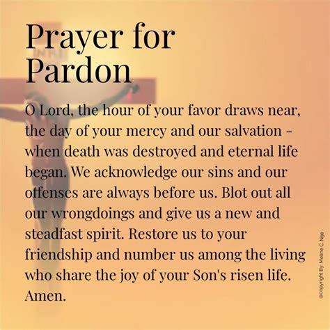 Prayer for Pardon | Meline Ngo