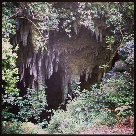 parque de las cavernas del rio camuy - 15 visitors