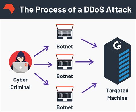 What Is a DDoS Attack? (+How to Protect Your Network from Hackers)