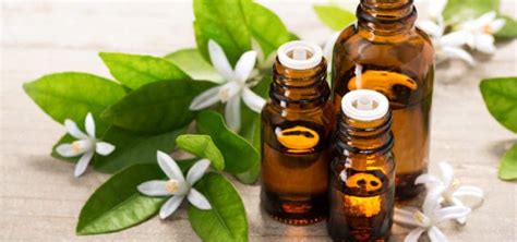 Neroli Oil Uses and Benefits for Skin, Pain, etc. - Dr. Axe