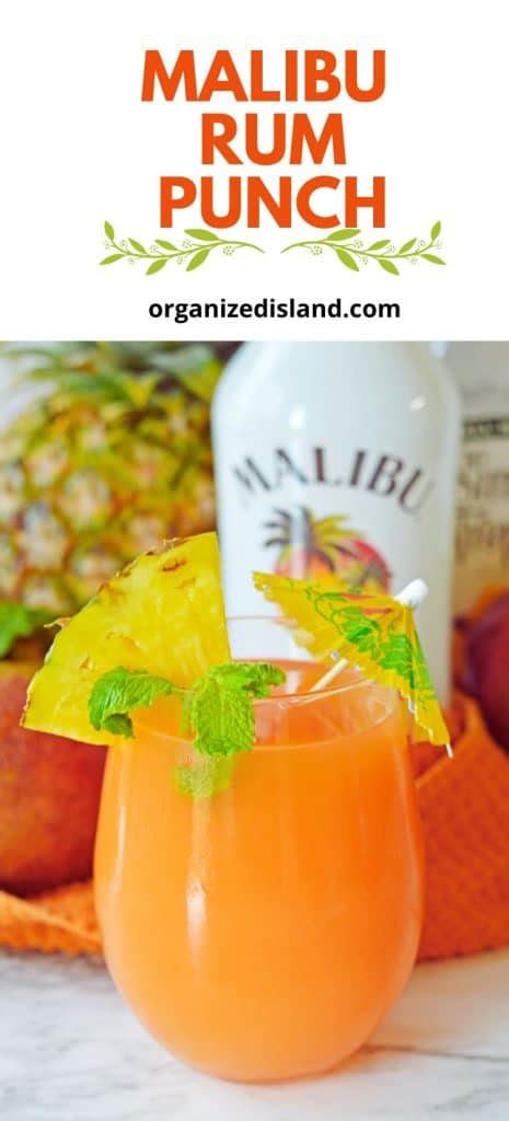 Malibu Rum Punch - Organized Island