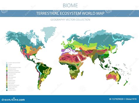 Terrestrial Ecosystem World Map. Biome Stock Vector - Illustration of africa, globe: 137929020