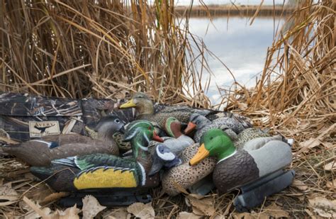 Where to Place Your Duck Decoys - Hunting Tips and Tactics
