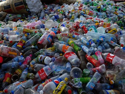 Bacteria able to eat plastic bottles discovered by scientists | The Independent | The Independent