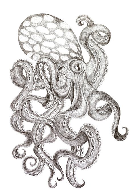 OCTOPUS Ink Artwork Giclee Print Unique Animal Portrait by - Etsy