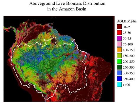 Climate Of Amazon Basin