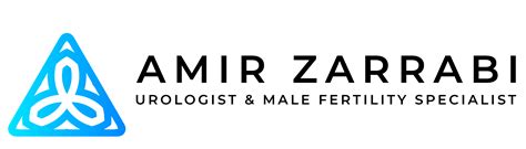 2 – Amir Zarrabi