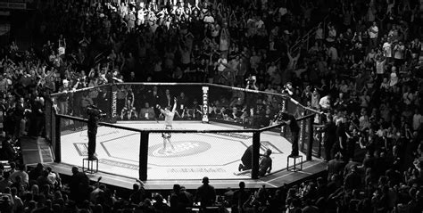 UFC Octagon Wallpapers - 4k, HD UFC Octagon Backgrounds on WallpaperBat