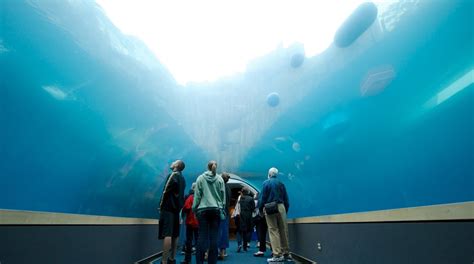 Visit Pittsburgh Zoo and PPG Aquarium in Pittsburgh | Expedia