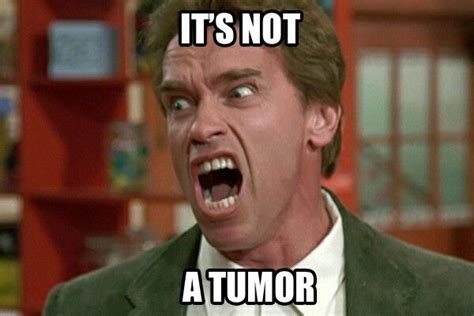 It's not a tumor! | Arnold schwarzenegger funny, Arnold schwarzenegger, Schwarzenegger