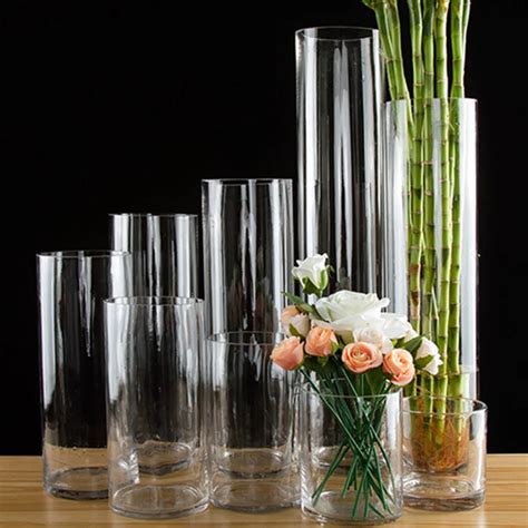 Modern Glass Vase Straight tube transparency Tabletop Glass Vases tall Vase Hydroponics ...