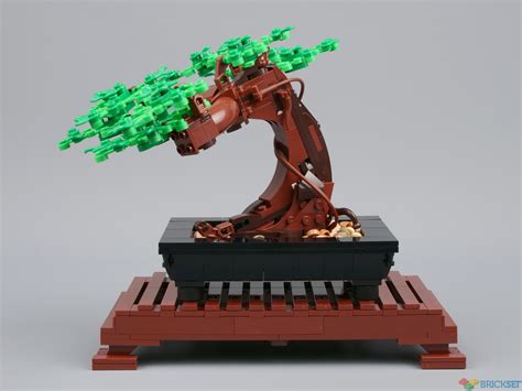 LEGO 10281 Bonsai Tree review | Brickset