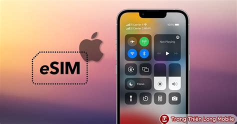 eSIM Là Gì ? Ưu Điểm Và Hạn Chế Của eSIM Và Sim Vật Lý Trên iPhone | Trang Thiên Long Mobile